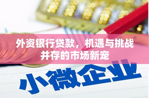 宿松外资银行贷款，机遇与挑战并存的市场新宠