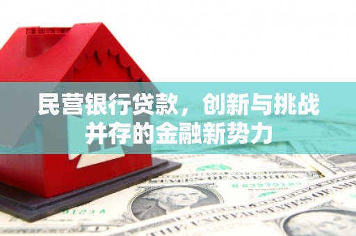 宿松民营银行贷款，创新与挑战并存的金融新势力
