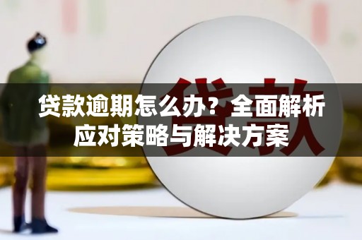 宿松贷款逾期怎么办？全面解析应对策略与解决方案