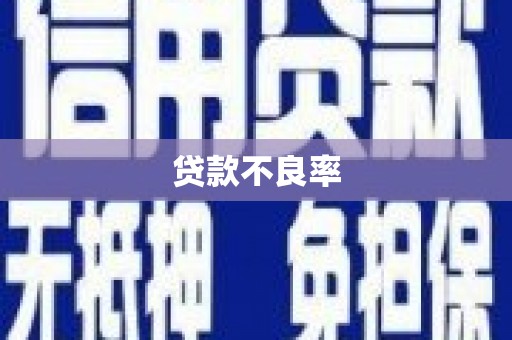 宿松贷款不良率