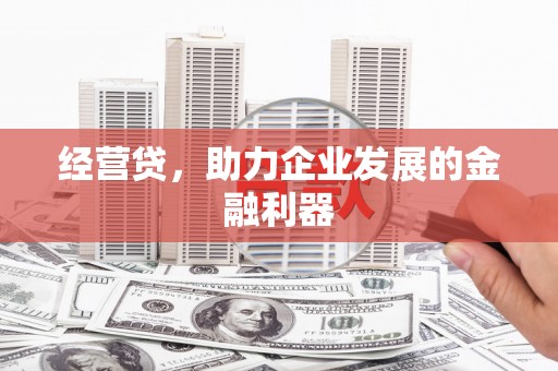 宿松经营贷，助力企业发展的金融利器