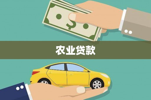 宿松农业贷款