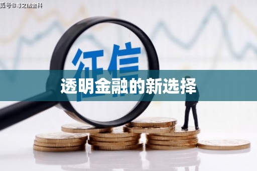 宿松透明金融的新选择