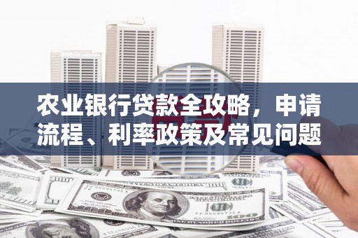 宿松农业银行贷款全攻略，申请流程、利率政策及常见问题解析