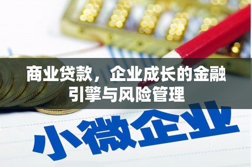 宿松商业贷款，企业成长的金融引擎与风险管理