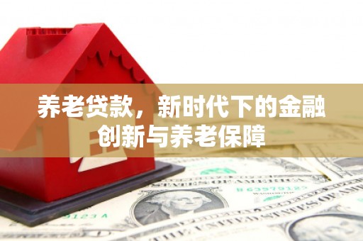 宿松养老贷款，新时代下的金融创新与养老保障