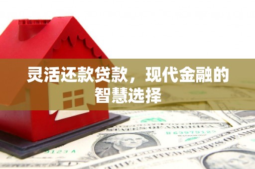 宿松灵活还款贷款，现代金融的智慧选择
