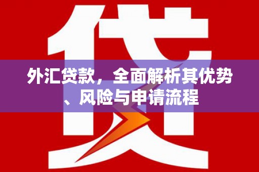 宿松外汇贷款，全面解析其优势、风险与申请流程
