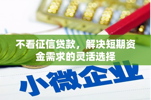 宿松不看征信贷款，解决短期资金需求的灵活选择