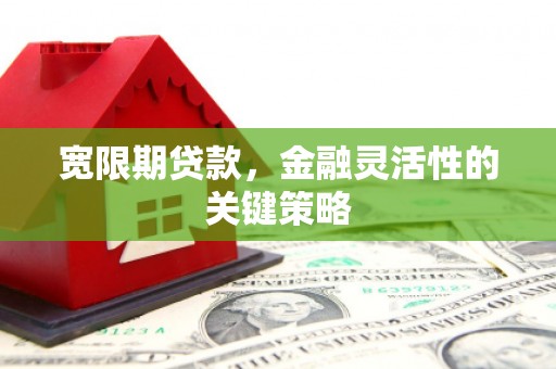 宿松宽限期贷款，金融灵活性的关键策略