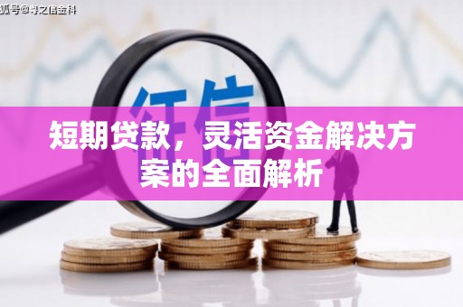 宿松短期贷款，灵活资金解决方案的全面解析
