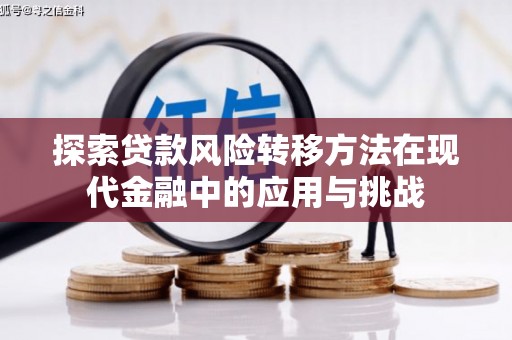 宿松探索贷款风险转移方法在现代金融中的应用与挑战
