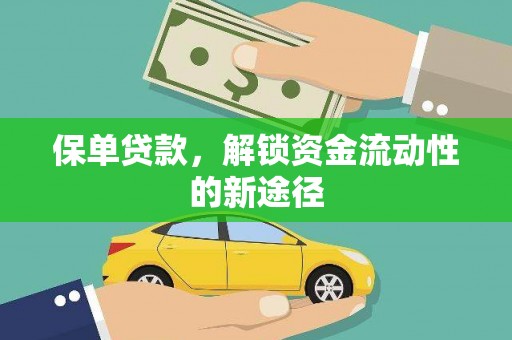 宿松保单贷款，解锁资金流动性的新途径