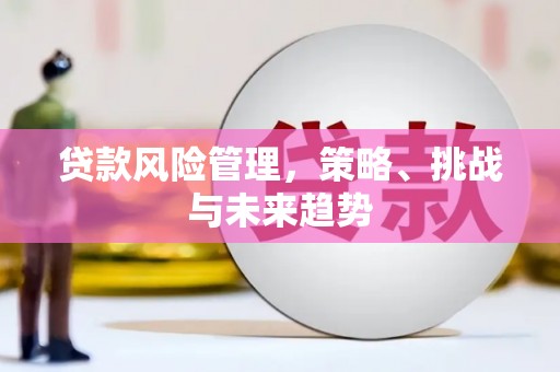 宿松贷款风险管理，策略、挑战与未来趋势