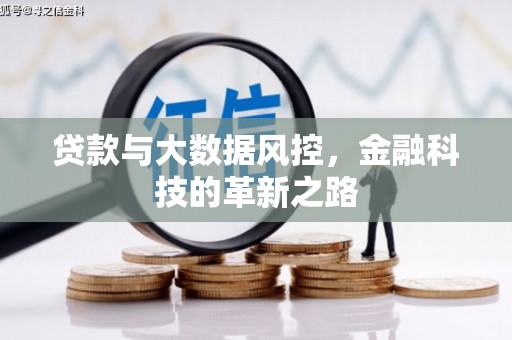 宿松贷款与大数据风控，金融科技的革新之路