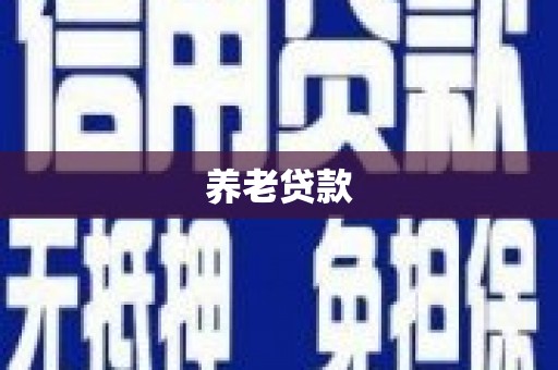 宿松养老贷款