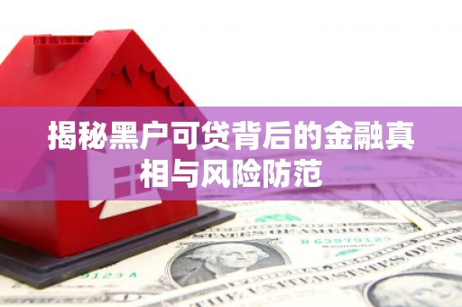 宿松揭秘黑户可贷背后的金融真相与风险防范