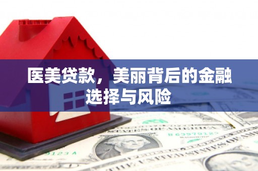 宿松医美贷款，美丽背后的金融选择与风险