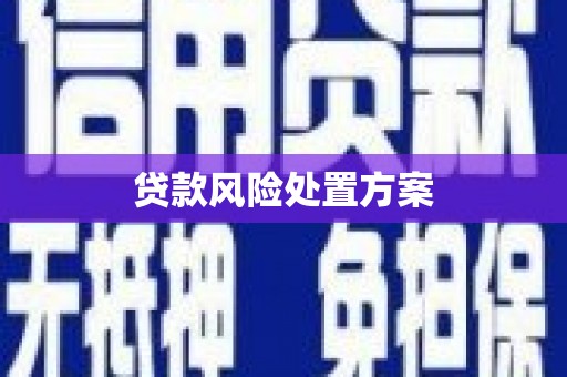 宿松贷款风险处置方案