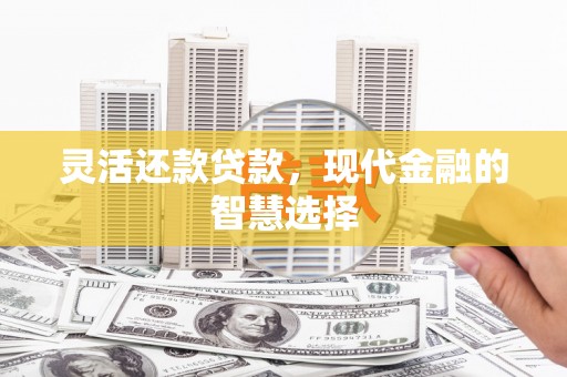 宿松灵活还款贷款，现代金融的智慧选择