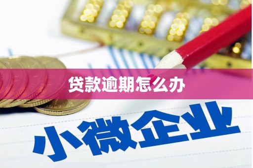 宿松贷款逾期怎么办