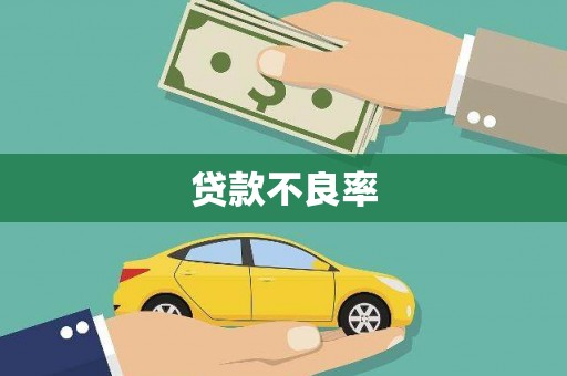 宿松贷款不良率