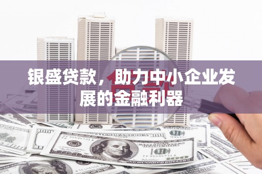 宿松银盛贷款，助力中小企业发展的金融利器