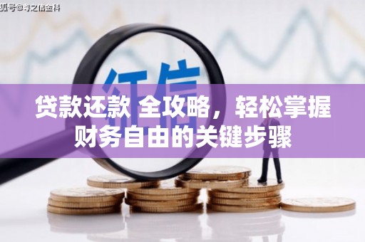 宿松贷款还款 全攻略，轻松掌握财务自由的关键步骤