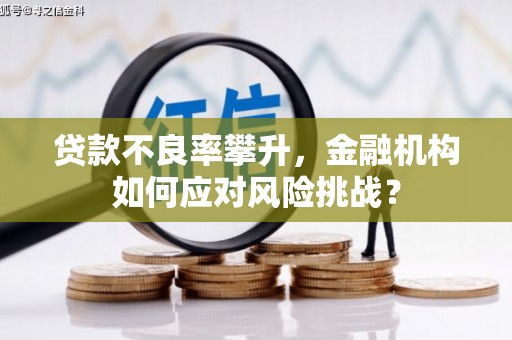宿松贷款不良率攀升，金融机构如何应对风险挑战？