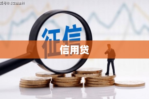 宿松信用贷