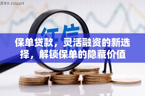 宿松保单贷款，灵活融资的新选择，解锁保单的隐藏价值