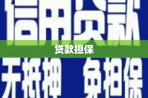 宿松贷款担保