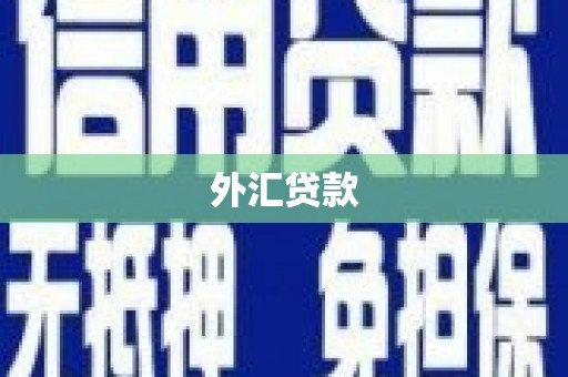 宿松外汇贷款