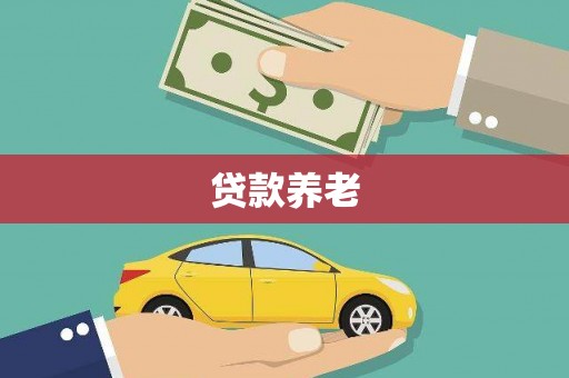 宿松贷款养老