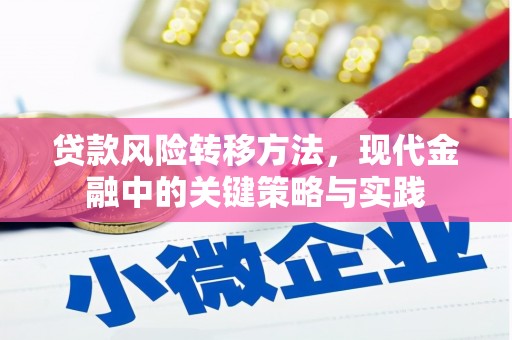 宿松贷款风险转移方法，现代金融中的关键策略与实践
