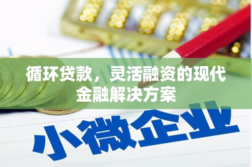宿松循环贷款，灵活融资的现代金融解决方案
