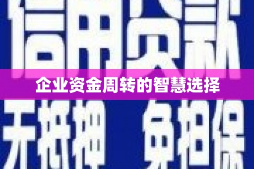 宿松企业资金周转的智慧选择