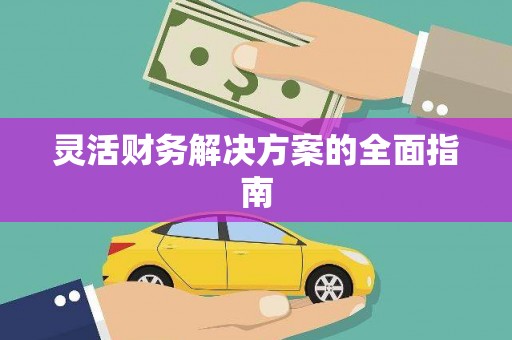 宿松灵活财务解决方案的全面指南