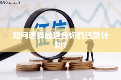 宿松如何选择最适合你的还款计划？