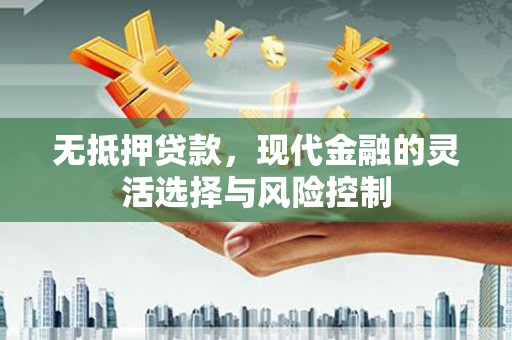 宿松无抵押贷款，现代金融的灵活选择与风险控制