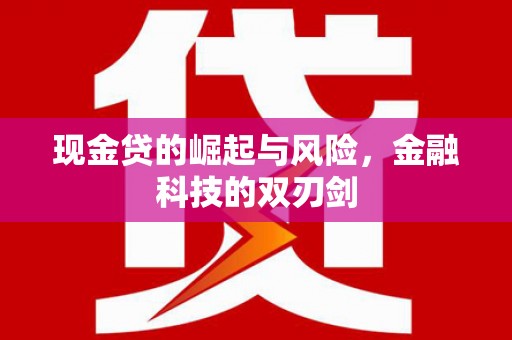 宿松现金贷的崛起与风险，金融科技的双刃剑