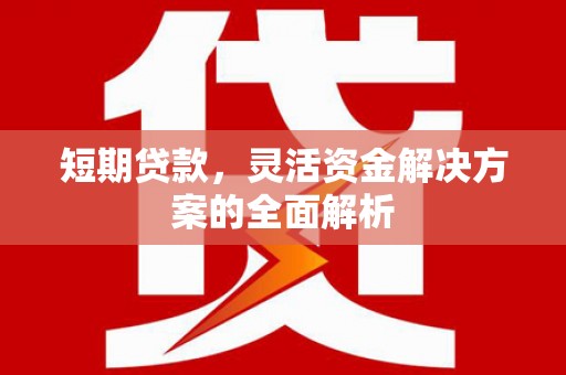 宿松短期贷款，灵活资金解决方案的全面解析