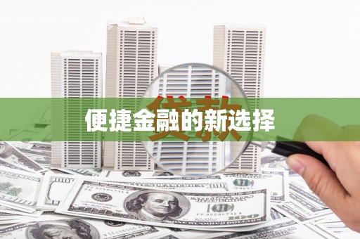 宿松便捷金融的新选择