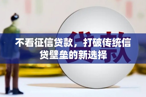 宿松不看征信贷款，打破传统信贷壁垒的新选择