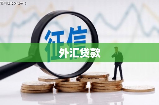 宿松外汇贷款