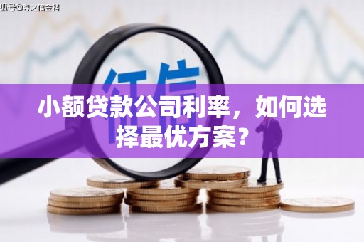 宿松小额贷款公司利率，如何选择最优方案？