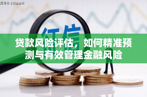 宿松贷款风险评估，如何精准预测与有效管理金融风险