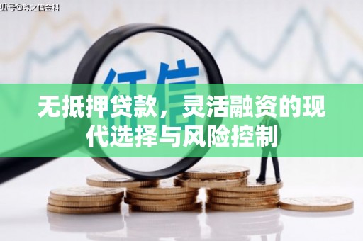 宿松无抵押贷款，灵活融资的现代选择与风险控制