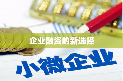 宿松企业融资的新选择