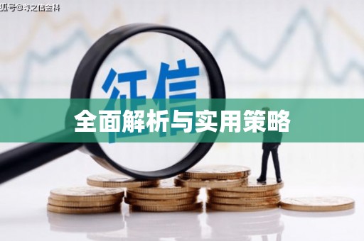 宿松全面解析与实用策略